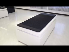 Blue Embroidered Mattress